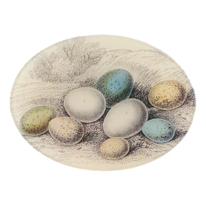 8 Eggs in Grass Oval Tray