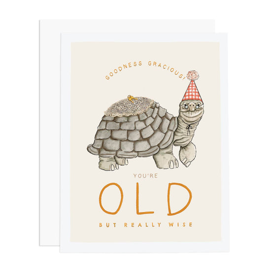 Old Turtle Birthday Card