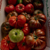 Heirloom Tomato Candle