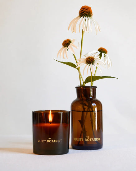 426 Candle, The Quiet Botanist