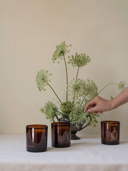 426 Candle, The Quiet Botanist