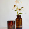 426 Candle, The Quiet Botanist