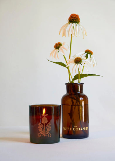 426 Candle, The Quiet Botanist