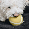 Wool Tennis Ball Toy