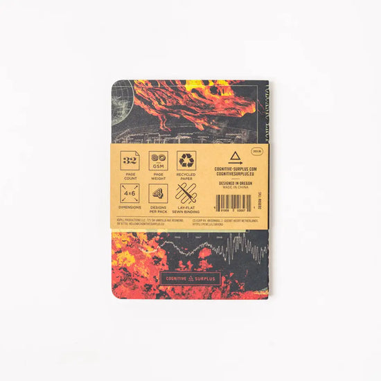 Geology Pocket Notebook Pack