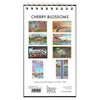 Cherry Blossoms in DC Postcard Booklet