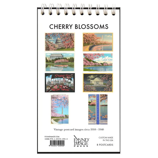 Cherry Blossoms in DC Postcard Booklet