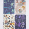 Ocean Pocket Notebook Pack