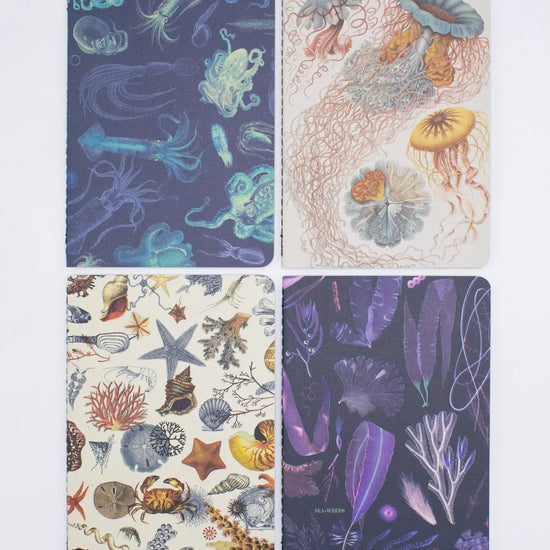 Ocean Pocket Notebook Pack