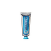 Aquatic Mint Travel Toothpaste