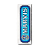 Aquatic Mint Travel Toothpaste