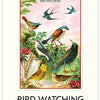 2027 Bird Watching Wall Calendar