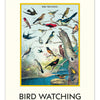 Bird Watching Wall Calendar