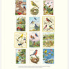 2027 Bird Watching Wall Calendar