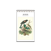 Birds Postcard Booklet