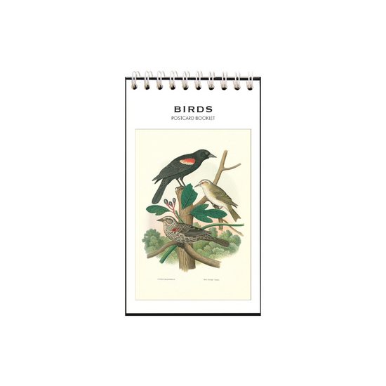 Birds Postcard Booklet