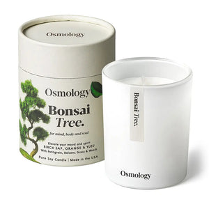 Osmology Bonsai Tree Candle