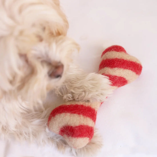 Small Candy Cane Dog Toy