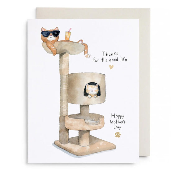 Cat Condo Mother's Day Card