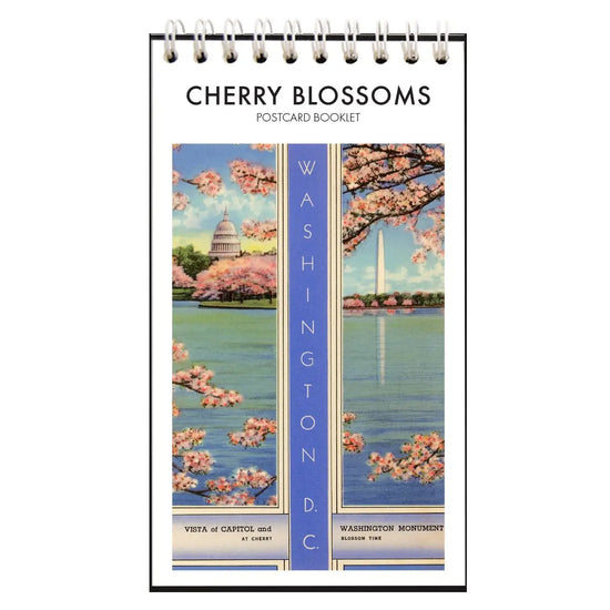 Cherry Blossoms in DC Postcard Booklet