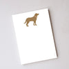 Sara Fitz Illustrated Notepad