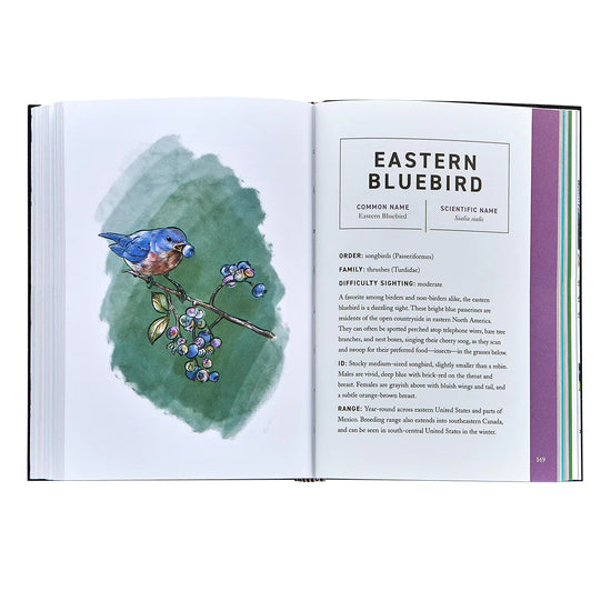 Birds: An Illustrated Field Guide, White Leather Edition