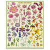 Flora Specimens Puzzle