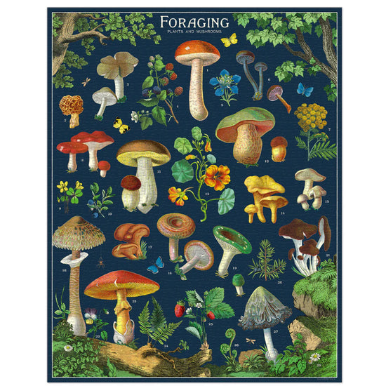 Foraging Puzzle