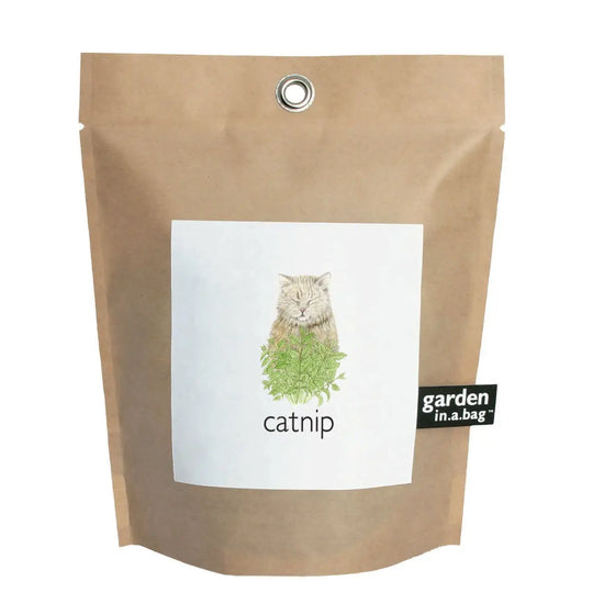 Garden in a Bag - Catnip