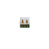 Holiday House Matchbox