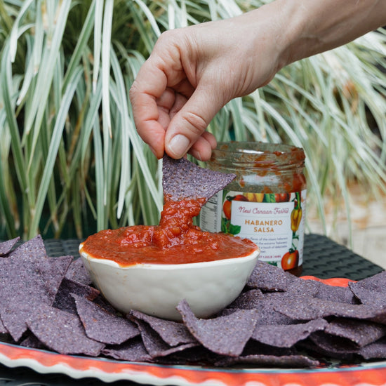 Habanero Salsa