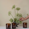 Home Grown Candle, The Quiet Botanist
