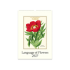 2027 Language of Flowers Wall Calendar
