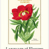 2027 Language of Flowers Wall Calendar