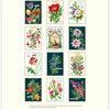 2027 Language of Flowers Wall Calendar