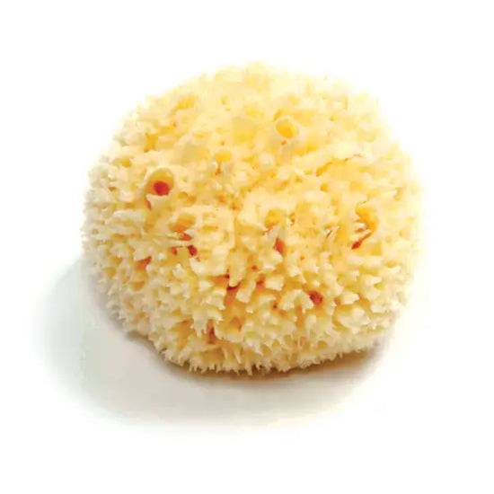 Natural Bath Sea Sponge