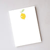 Sara Fitz Illustrated Notepad