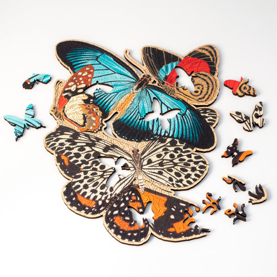 Numberwings Butterfly Puzzle