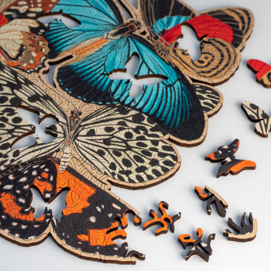 Numberwings Butterfly Puzzle