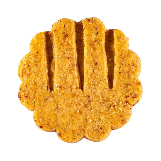 Onion & Paprika Savory Crackers