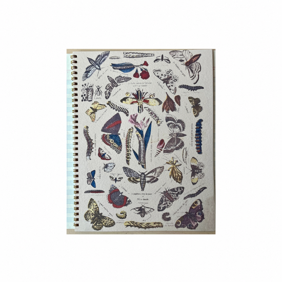 Petits Oiseuax Notebook