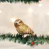 Pygmy Owl Ornament