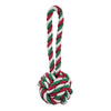 Red & Green Knot Rope Toy
