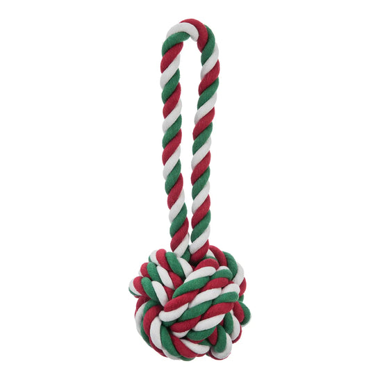 Red & Green Knot Rope Toy
