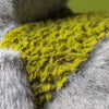 Rockleton Jellycat
