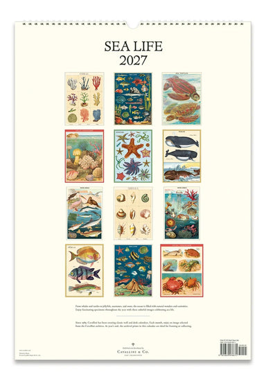 2027 Sea Life Wall Calendar