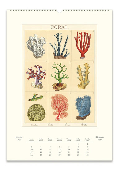 2027 Sea Life Wall Calendar