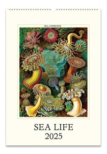 Sea Life Wall Calendar