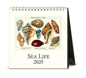 Sea Life Desk Calendar