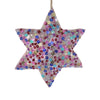 Sequin Star Ornament